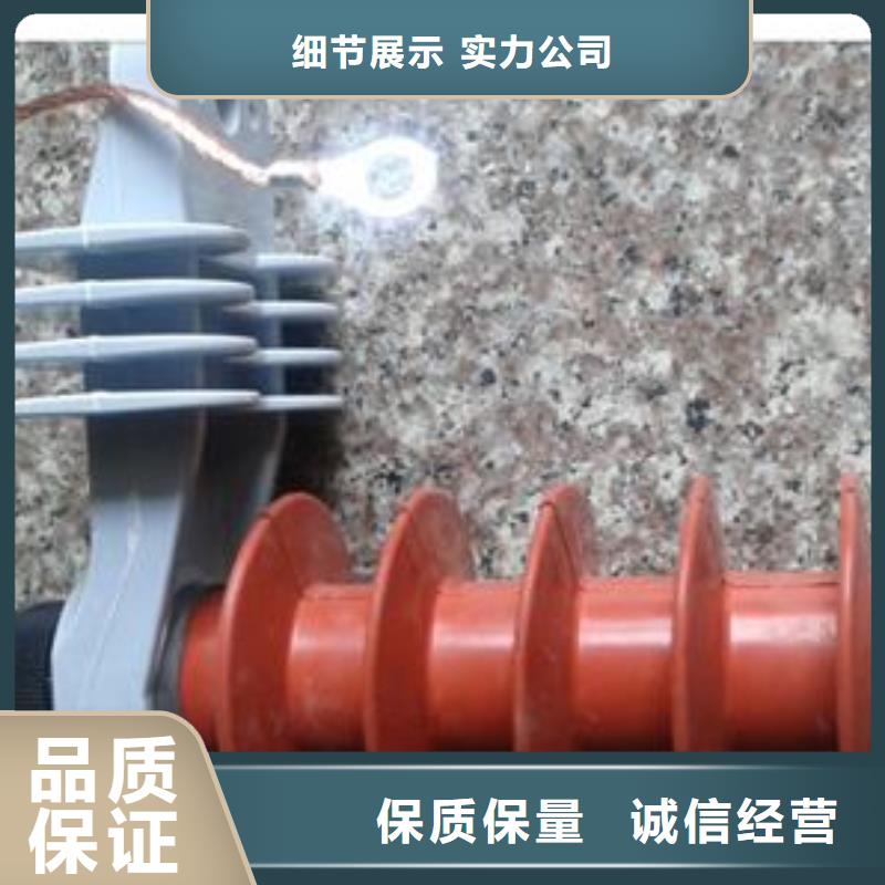 HY5WD-19/45电机型避雷器
