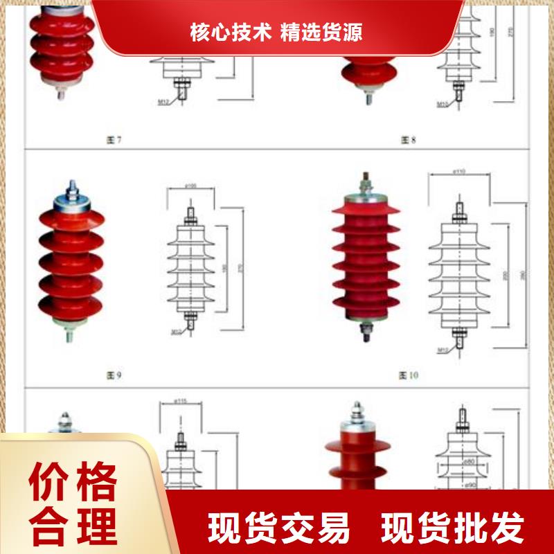 快捷的物流配送【避雷器】_氧化锌避雷器厂家销售