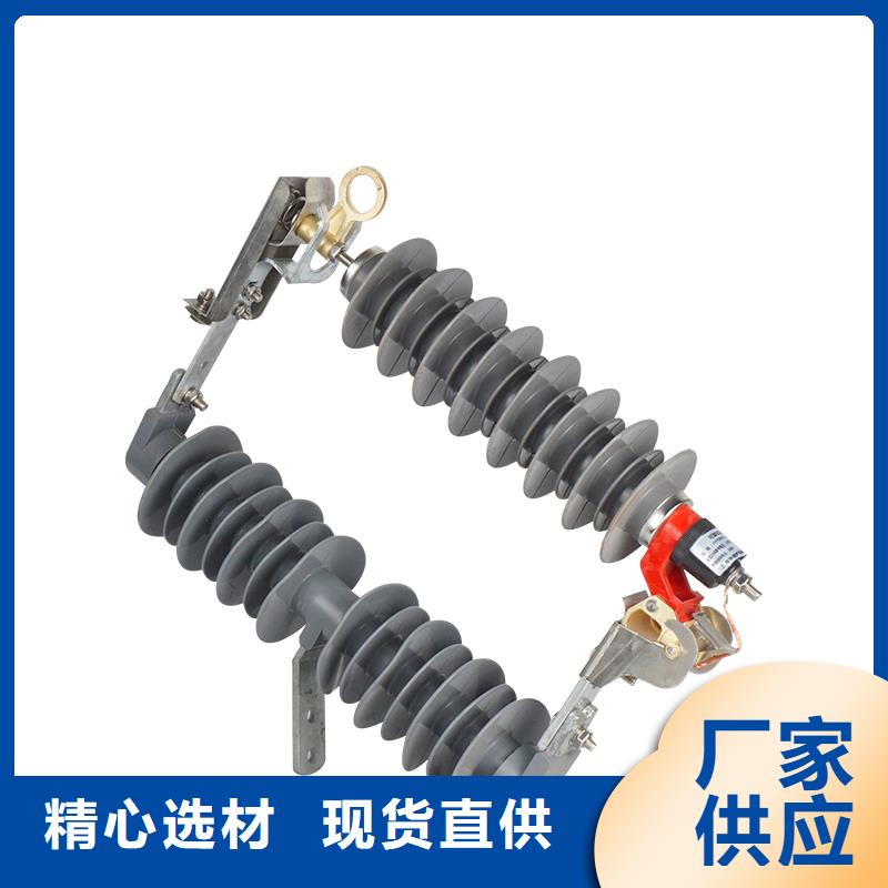 HY5WS-10/30DL-TB可卸式避雷器