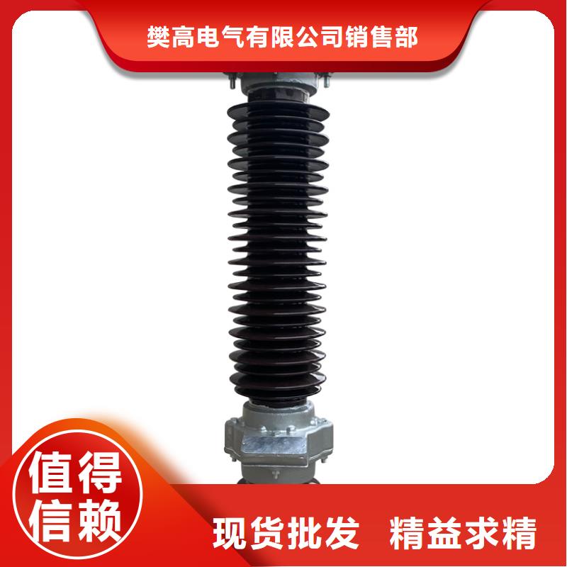 HY5WS-10/30DL-TB可卸式避雷器