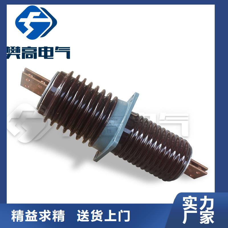 穿墙套管绝缘子细节展示