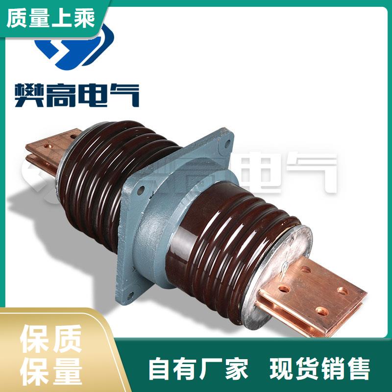 CWWB-10/630陶瓷套管