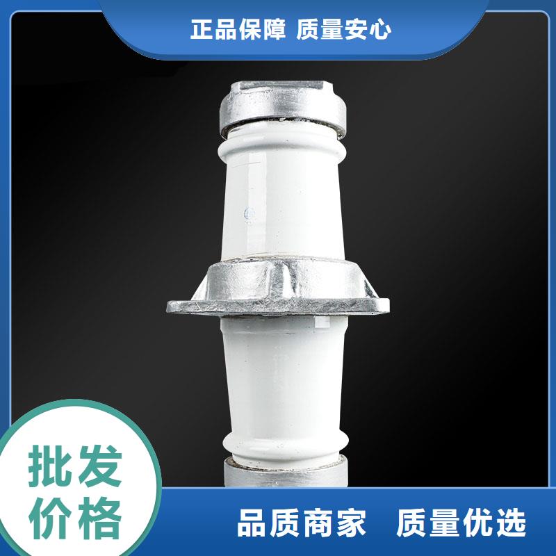 穿墙套管绝缘子细节展示