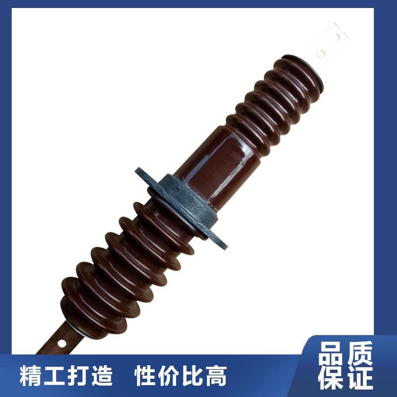 CWWB-10/3150高压套管