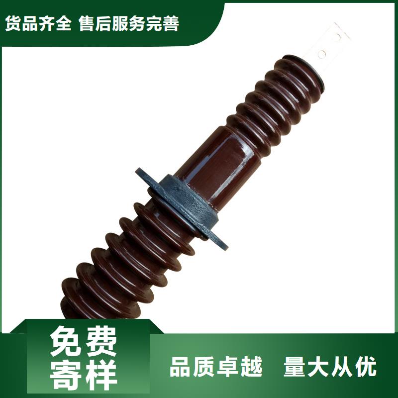 CWWB-10/3150高压套管