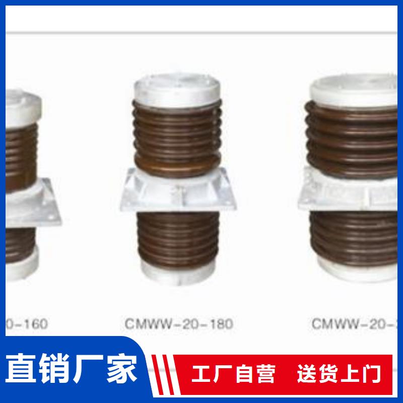 CWC-40.5/4000高压穿墙套管