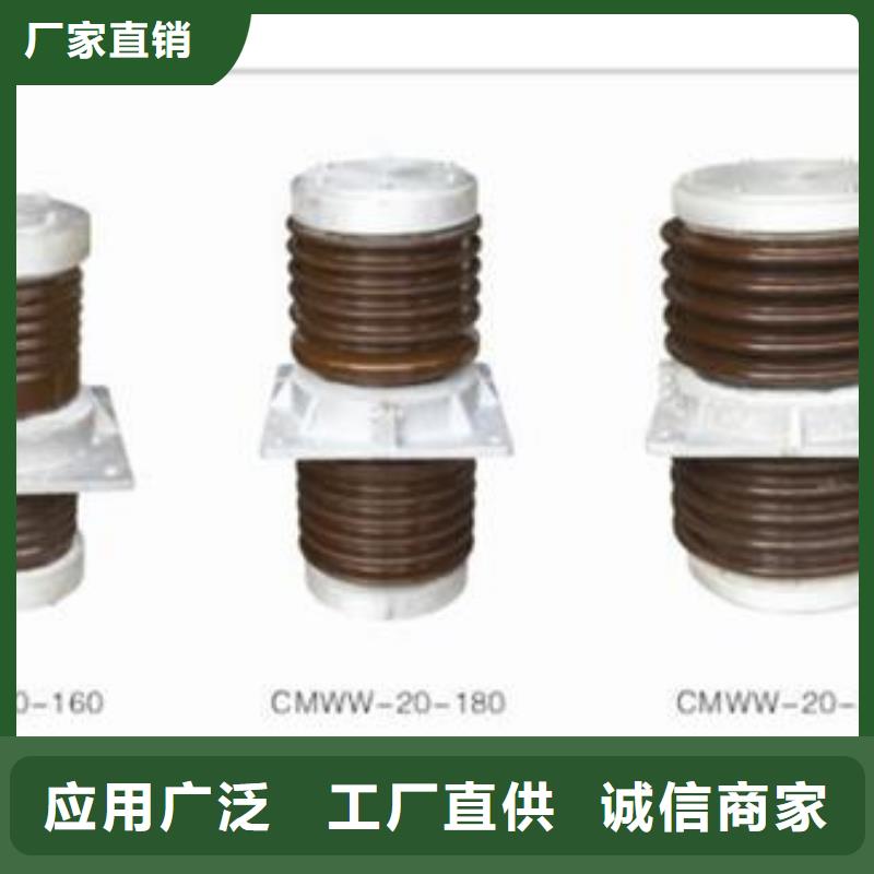 跌落式熔断器公司视频-跌落式熔断器公司|江苏省淮安市|金湖|涟水|常州|扬州|徐州|无锡|盐城|南京|苏州