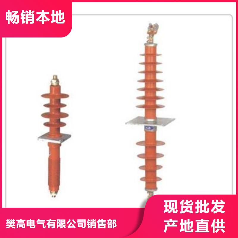 穿墙套管绝缘子细节展示