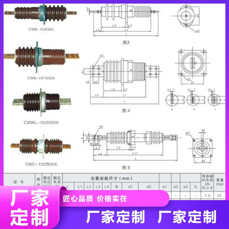 CWC-40.5/4000高压穿墙套管