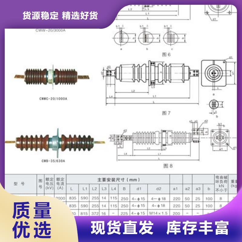樊高跌落式熔断器公司穿墙套管真空断路器源头厂家直销cg39.com
