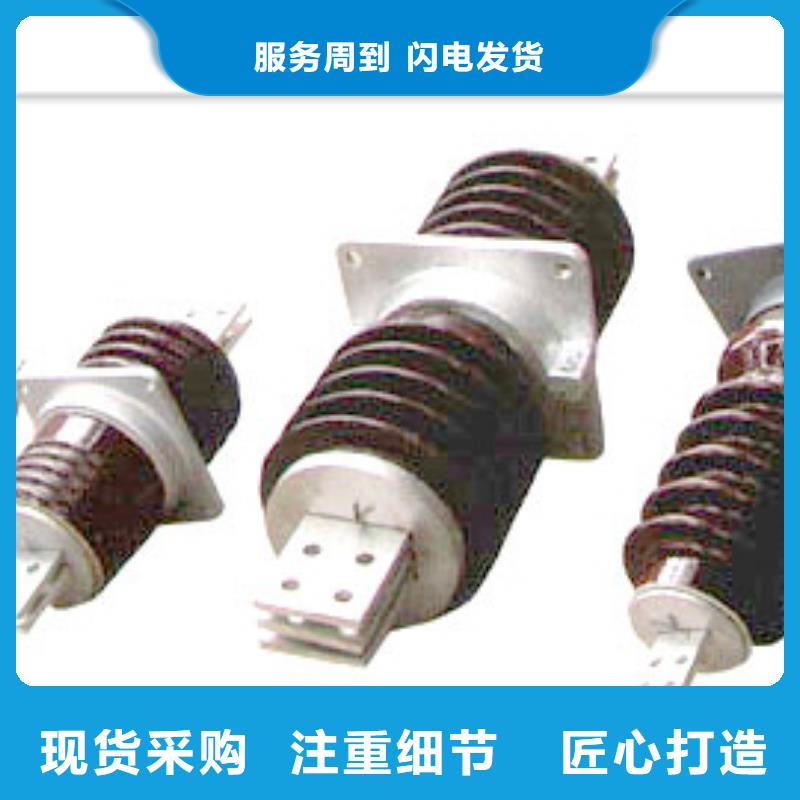 穿墙套管绝缘子细节展示