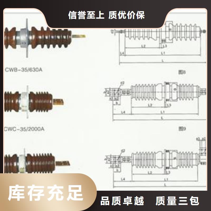 跌落式熔断器公司视频-跌落式熔断器公司-福建省漳州市【当地】公司-云霄|芗城|厦门|宁德|三明|莆田