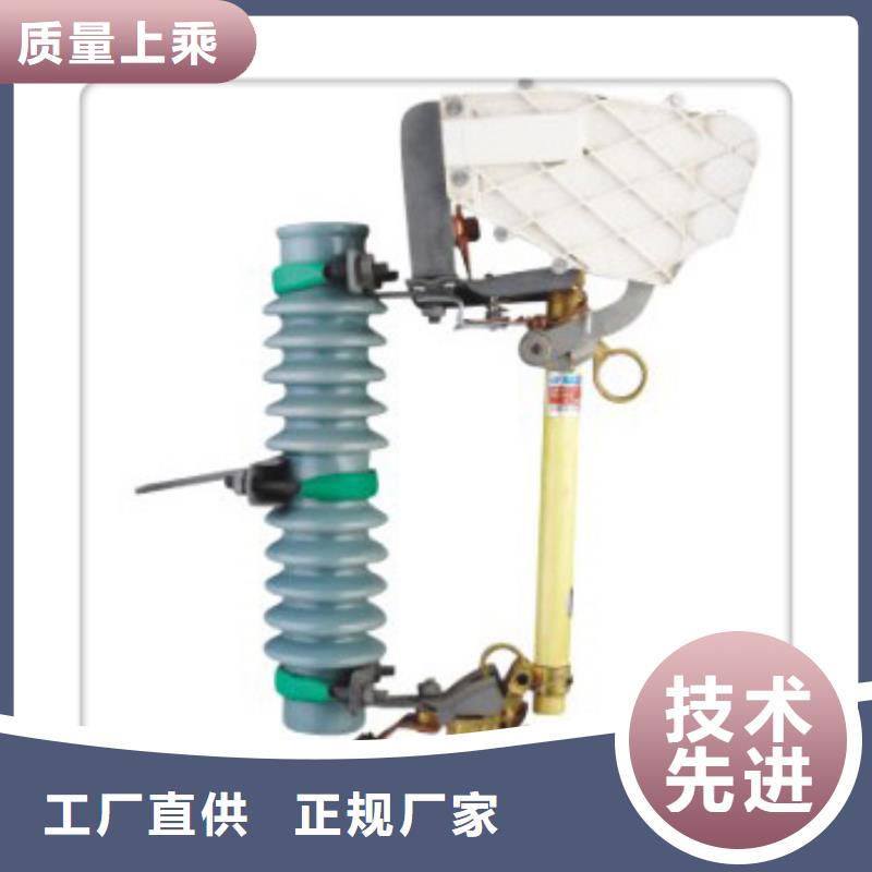 跌落式熔断器公司视频-跌落式熔断器公司(樊高)覆盖地域山东省临沂市莒南|费县|聊城|济南|威海|日照