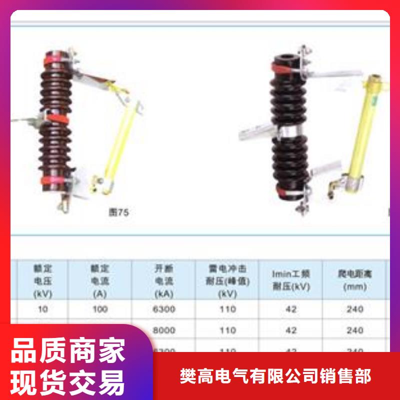跌落式熔断器公司视频-莱城|钢城|泰安|枣庄|威海|聊城|东营|临沂跌落式熔断器公司畅销当地-樊高电气销售部(莱芜市分公司)
