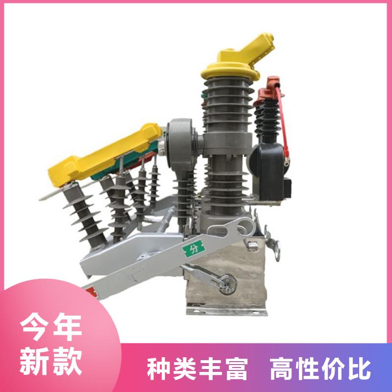 【 真空断路器绝缘子专业生产品质保证】厂家经验丰富