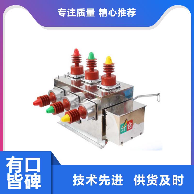 跌落式熔断器公司视频-跌落式熔断器公司(樊高)覆盖地域河南省驻马店市西平|驿城|南阳|焦作|许昌|三门峡