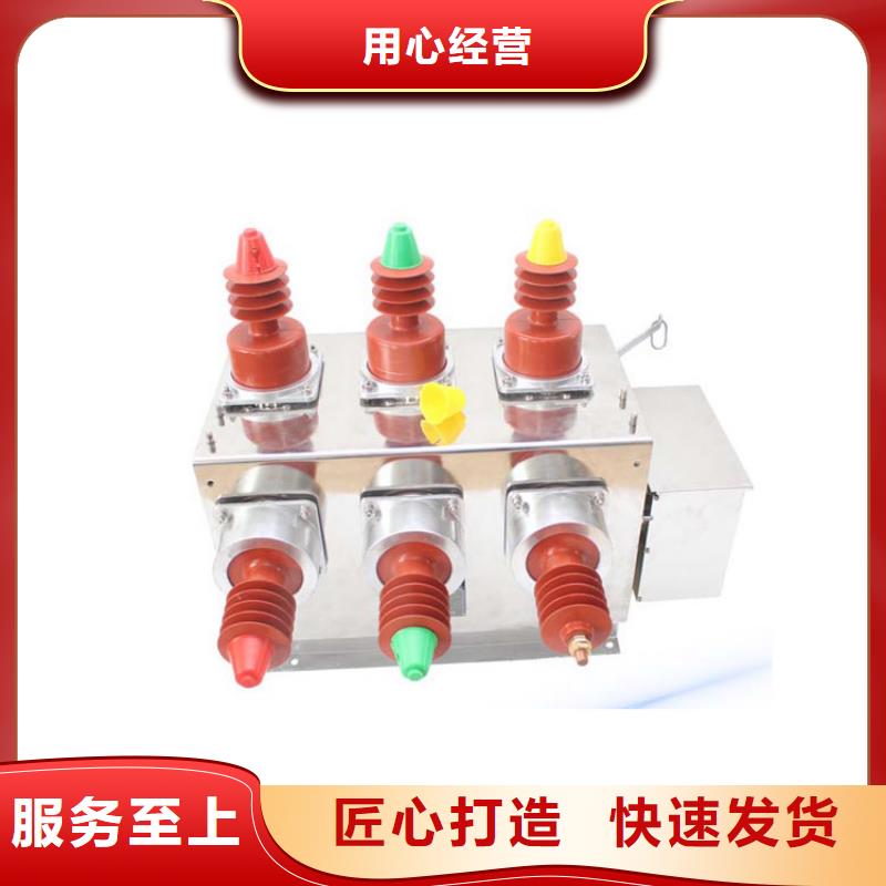 真空断路器用心做产品-樊高电气销售部(惠州市分公司)