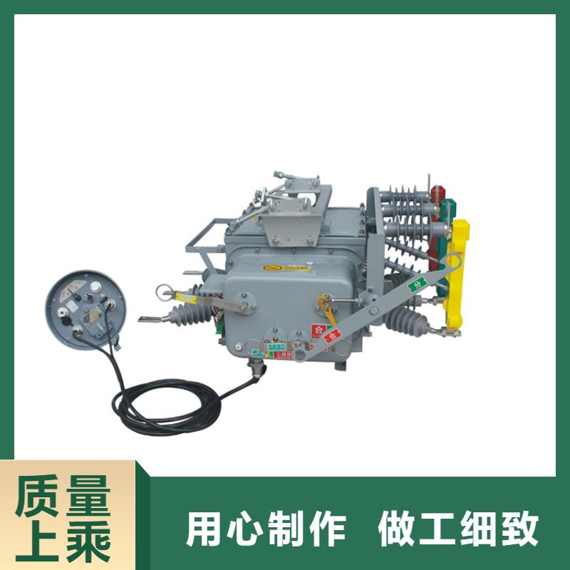 真空断路器-氧化锌避雷器老品牌厂家