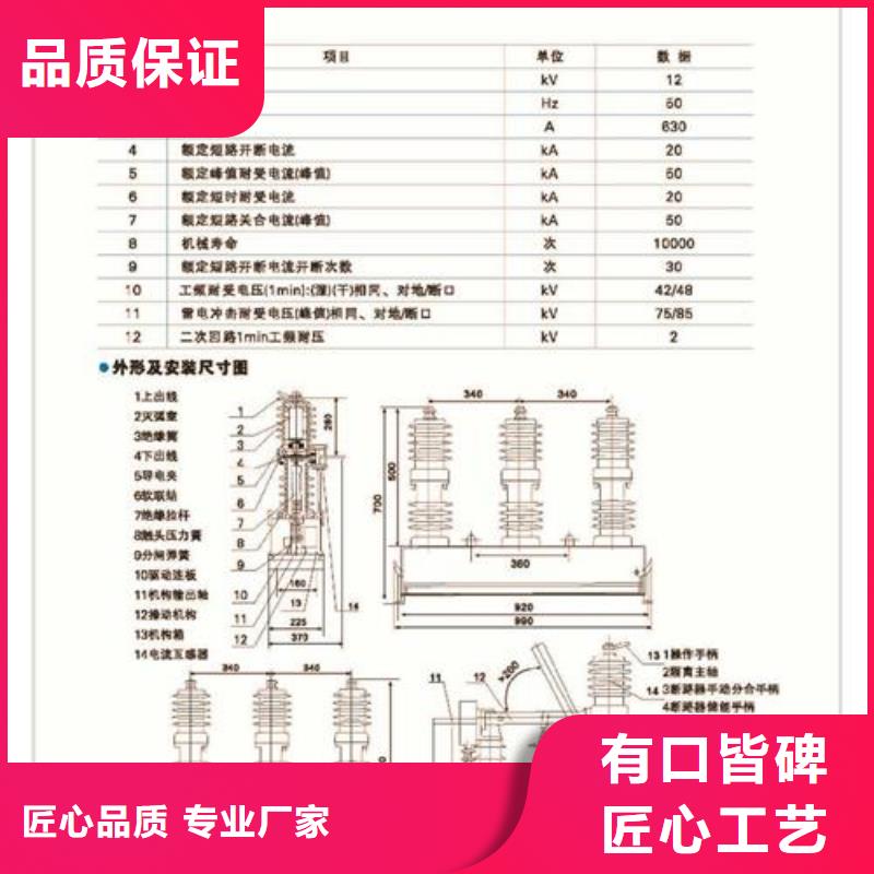 跌落式熔断器公司视频-山西省晋中市|和顺|左权|忻州|大同|临汾|朔州|晋城跌落式熔断器公司-樊高