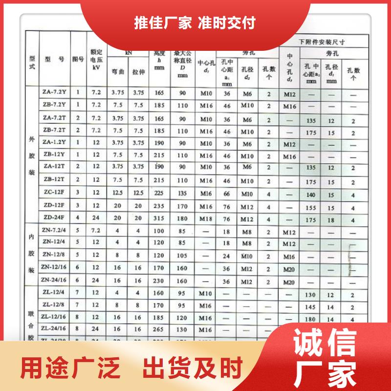 绝缘子 【真空断路器】详细参数|泾川|崇信|嘉峪关|兰州|临夏|庆阳|白银|天水cg39.com