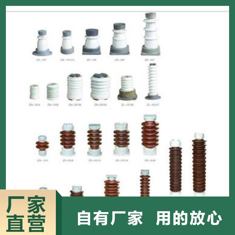 【绝缘子-氧化锌避雷器欢迎来电咨询】-樊高电气销售部(怀化市分公司)|覆盖地域会同|辰溪|湘西|益阳|张家界|衡阳|郴州