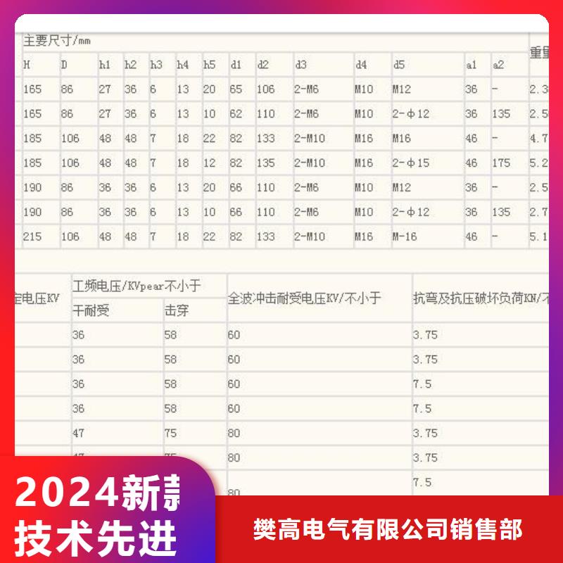 绝缘子-【穿墙套管】专业生产制造厂|庄河|沙河口|营口|铁岭|抚顺|鞍山|丹东|盘锦cg39.com