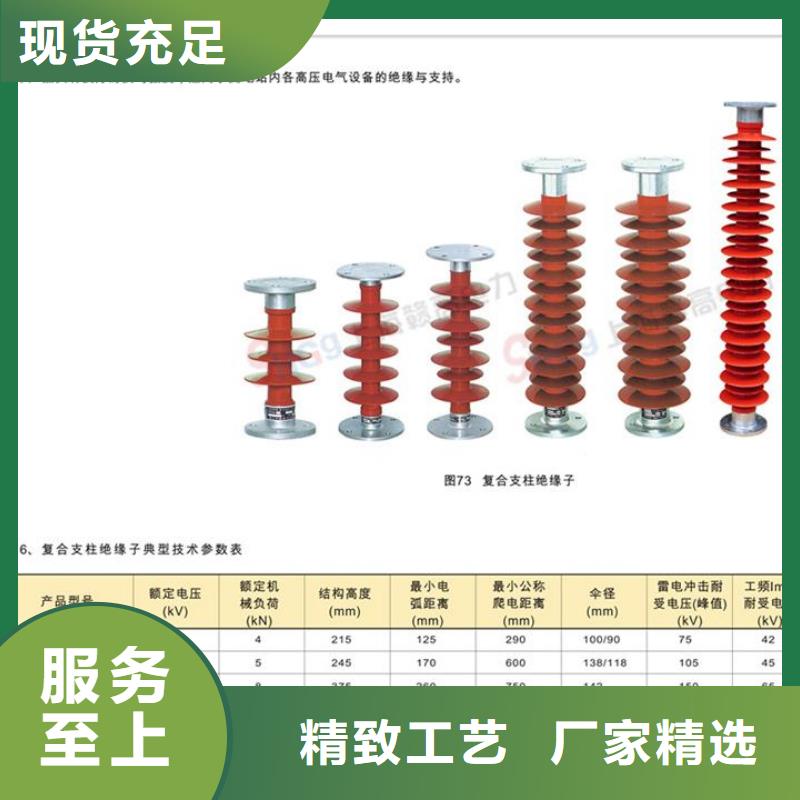 樊高跌落式熔断器公司【 绝缘子穿墙套管专注细节专注品质】