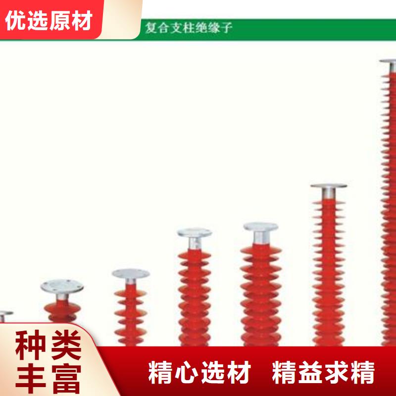 跌落式熔断器公司樊高【 绝缘子穿墙套管支持拿样】