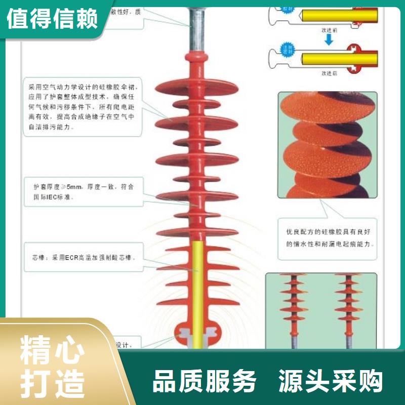 跌落式熔断器公司-樊高电气销售部(永州市分公司)服务区域冷水滩|新田|邵阳|张家界|娄底|湘西|益阳|衡阳|常德