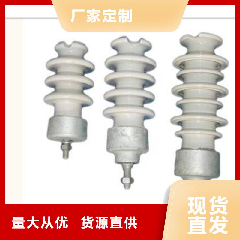 【绝缘子-氧化锌避雷器欢迎来电咨询】-樊高电气销售部(怀化市分公司)|覆盖地域会同|辰溪|湘西|益阳|张家界|衡阳|郴州