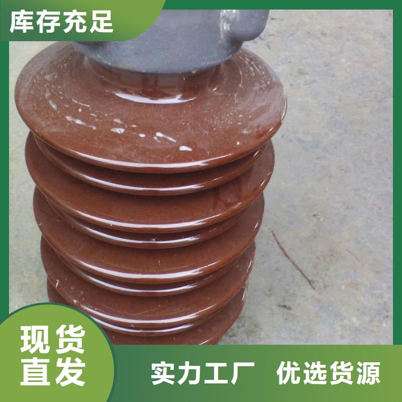 绝缘子,【真空断路器】厂家质量过硬当地厂家