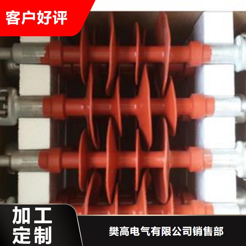 【 绝缘子限流熔断器价格透明】-樊高电气销售部(攀枝花市分公司)