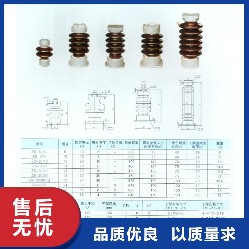 绝缘子高低压电器厂家案例