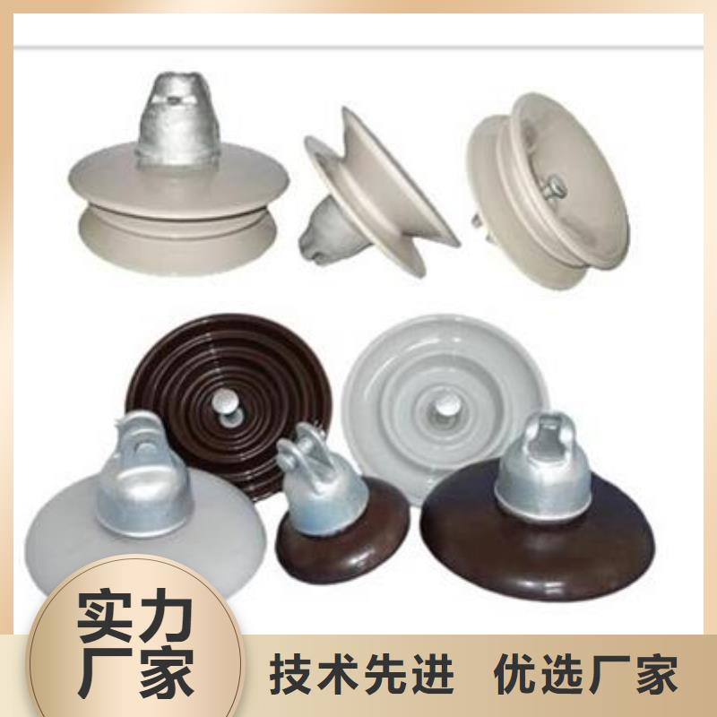 【 绝缘子,高低压电器匠心制造】-樊高电气销售部(山南市分公司)-三玖采购网