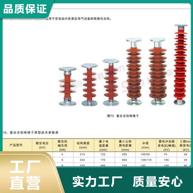 跌落式熔断器公司视频-永州市跌落式熔断器公司-【此地】可服务区域蓝山|东安|常德|长沙|湘西|娄底