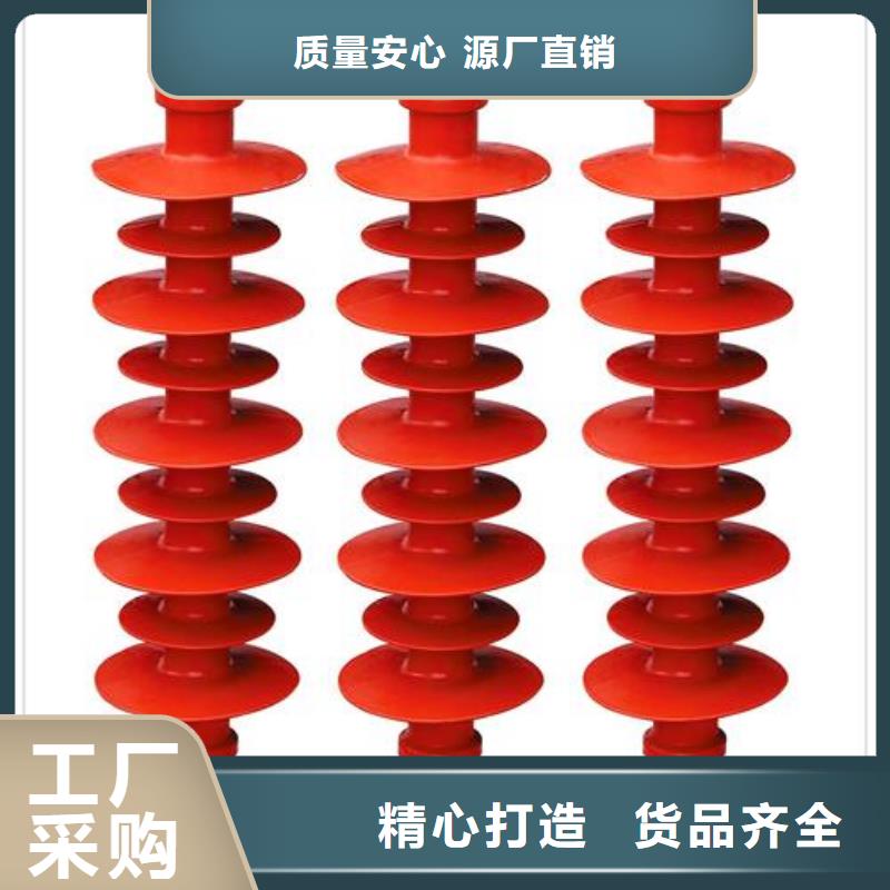 跌落式熔断器公司视频-攀枝花市跌落式熔断器公司-(该地)可服务区域仁和|盐边|泸州|成都|阿坝|雅安