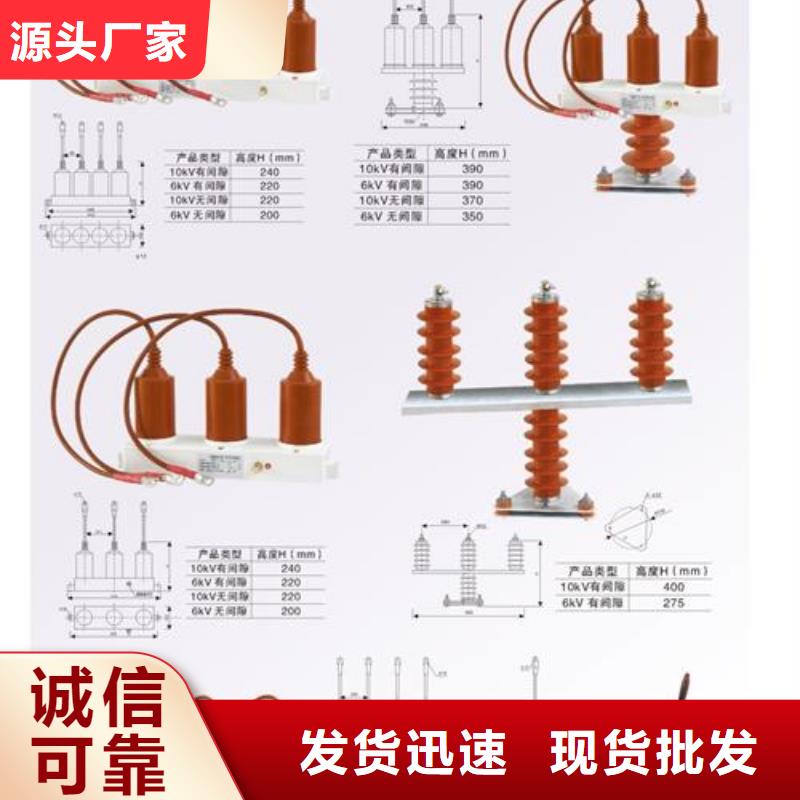 过电压保护器绝缘子自有生产工厂樊高跌落式熔断器公司