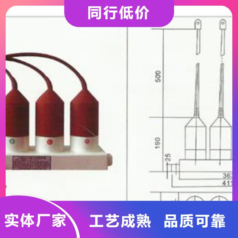 过电压保护器绝缘子发货迅速