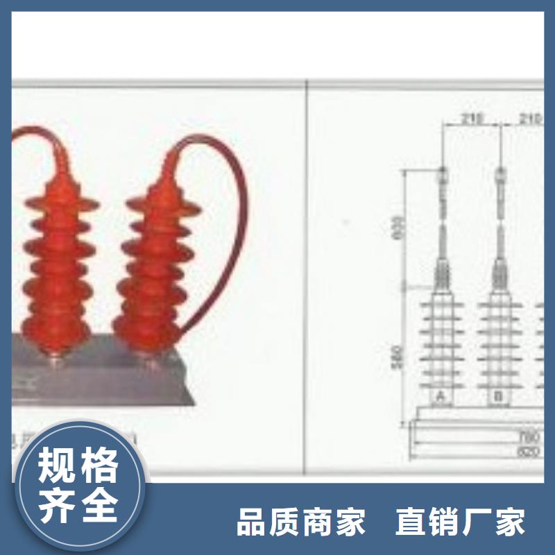 过电压保护器绝缘子自有生产工厂樊高跌落式熔断器公司