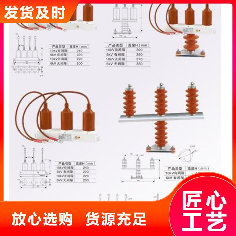 生产厂家过电压保护器真空断路器厂家精选