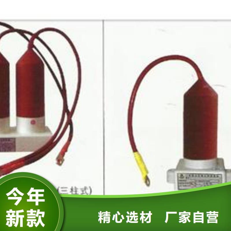 生产厂家过电压保护器真空断路器厂家精选