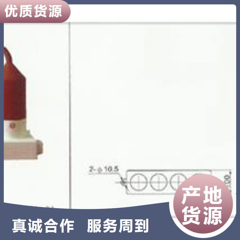 品牌【过电压保护器】高压开关柜多年实力厂家