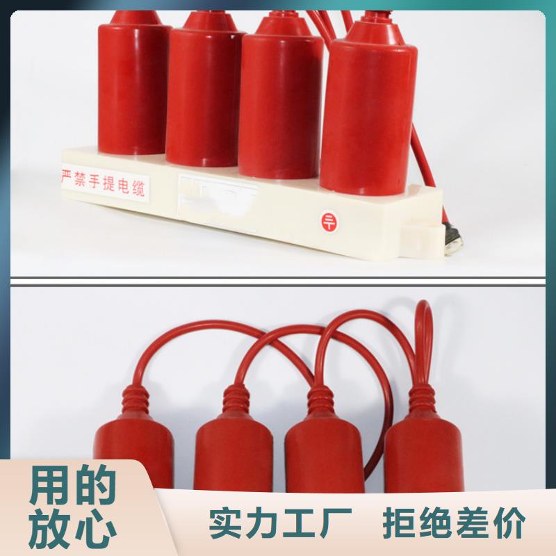 过电压保护器_【氧化锌避雷器】工期短发货快拒绝差价