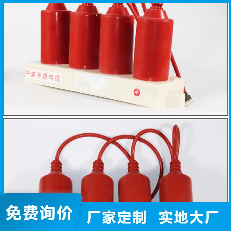 过电压保护器绝缘子自有生产工厂樊高跌落式熔断器公司