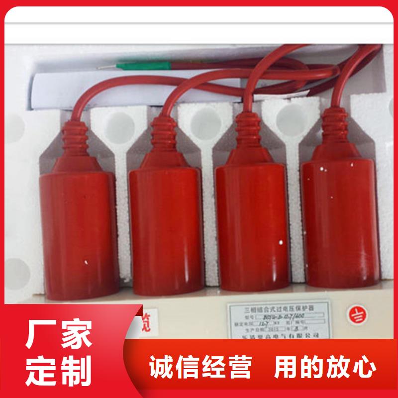 【过电压保护器】 氧化锌避雷器海量现货-樊高电气销售部(成都市分公司)-三玖采购网