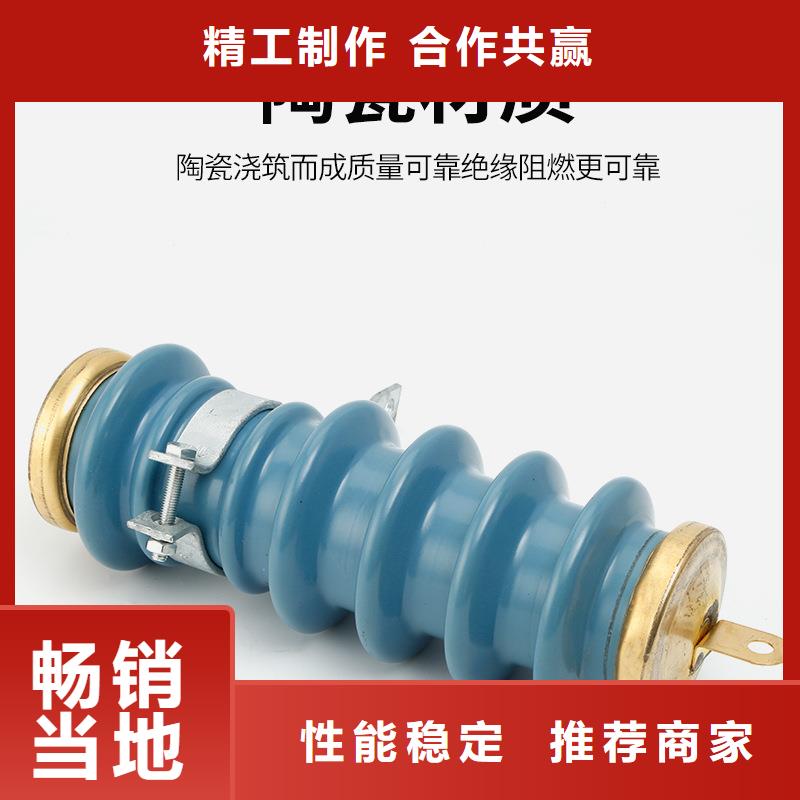 过电压保护器绝缘子品质优良樊高跌落式熔断器公司