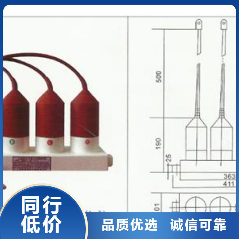 过电压保护器真空断路器支持定制贴心售后
