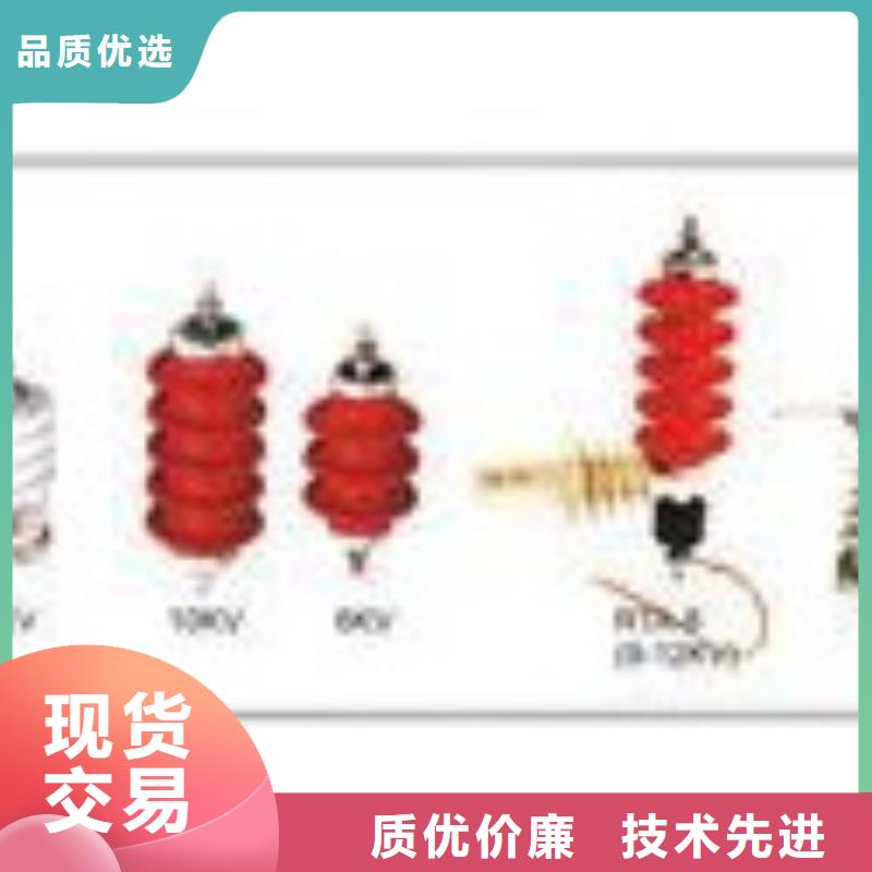 过电压保护器高压开关柜诚信厂家-樊高电气销售部(安康市分公司)