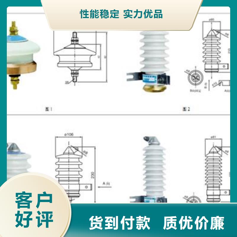 【过电压保护器】-真空断路器品质服务
