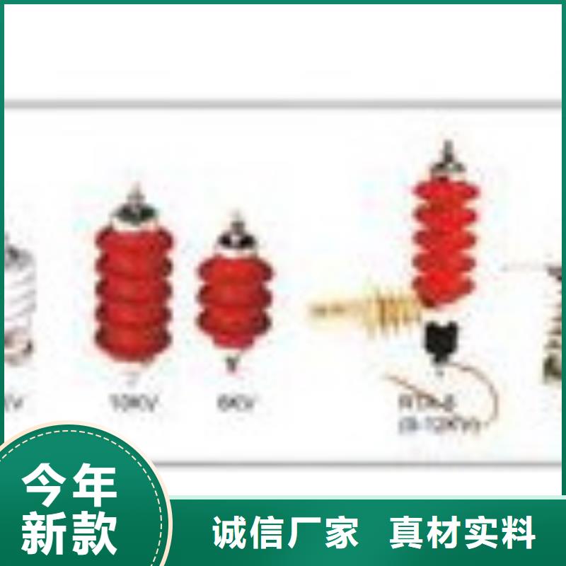 过电压保护器高压开关柜诚信厂家-樊高电气销售部(安康市分公司)